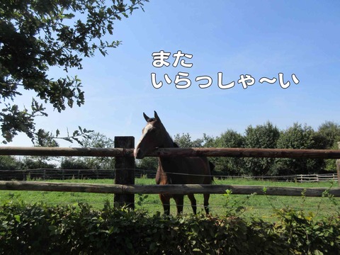 まき 14