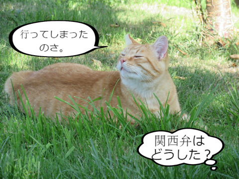 BlogPaint