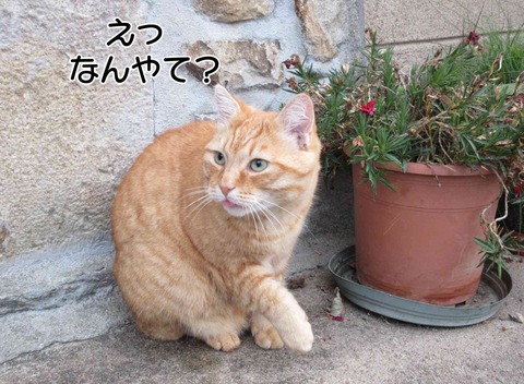 留守 5