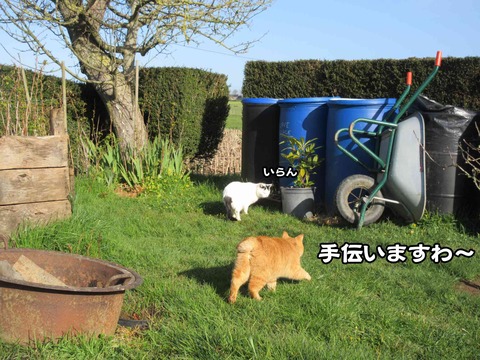 手伝う 3