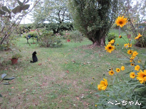 すずめ 2
