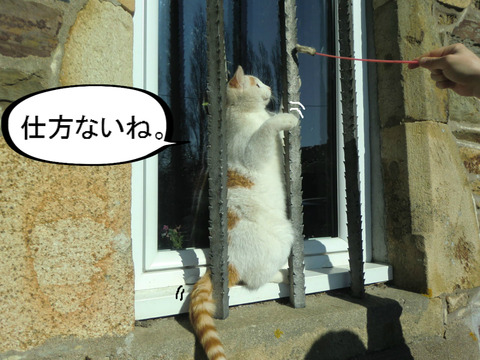 BlogPaint