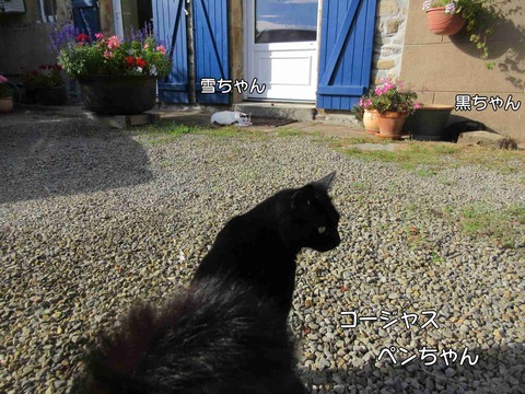モンサンミシェル 10