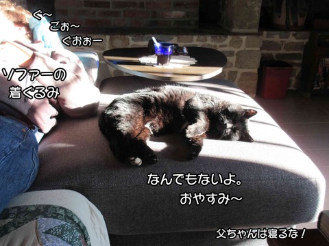 黒ちゃん 5