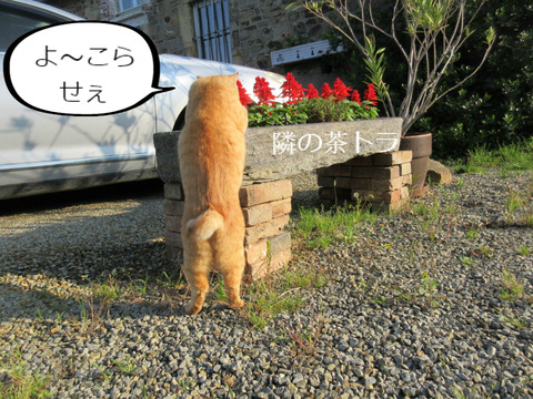 BlogPaint