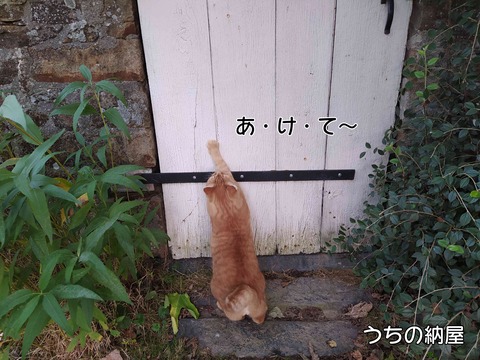 あいさつ 4