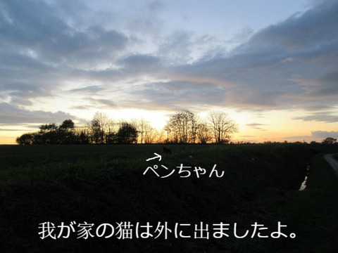 BlogPaint