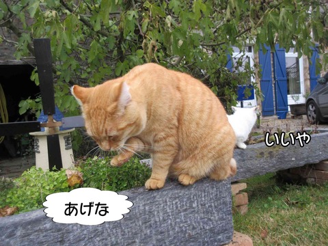 揉める 5