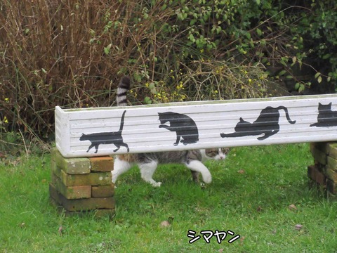 後ろ姿　1