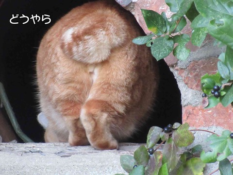 大人の対応 7