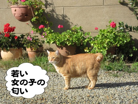 きた 10