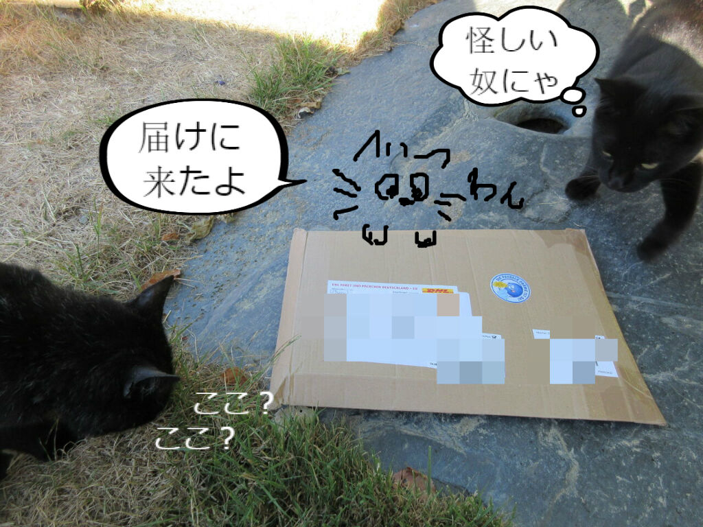 ラブレター フロム ジャーマニー ソワレが要らないフランス暮らし