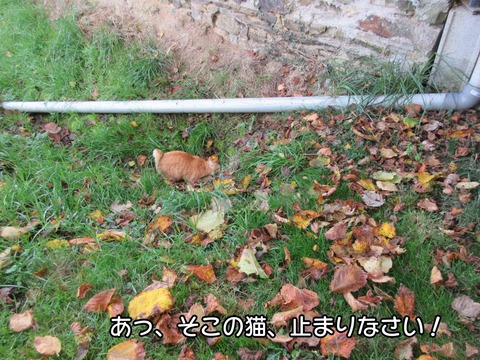 溝 1
