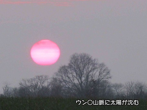 どこへ行く 5