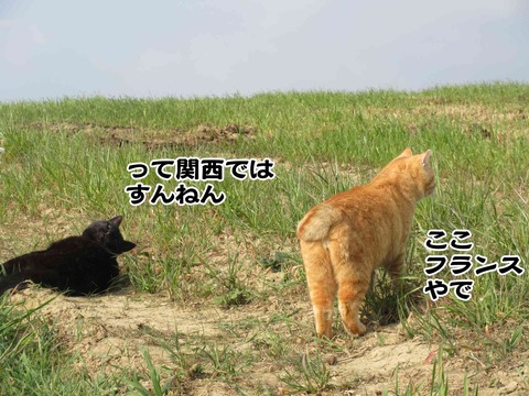 5周年 6 1
