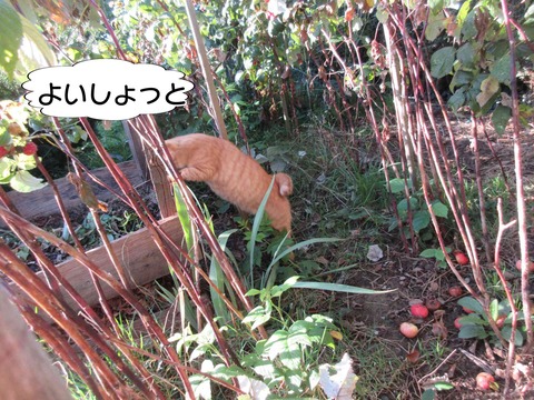 コンポスト 2