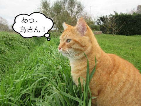 BlogPaint