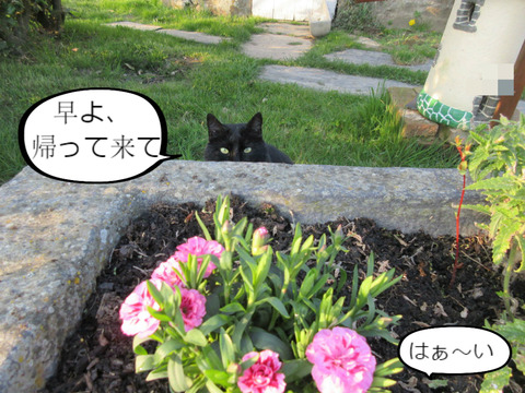 BlogPaint