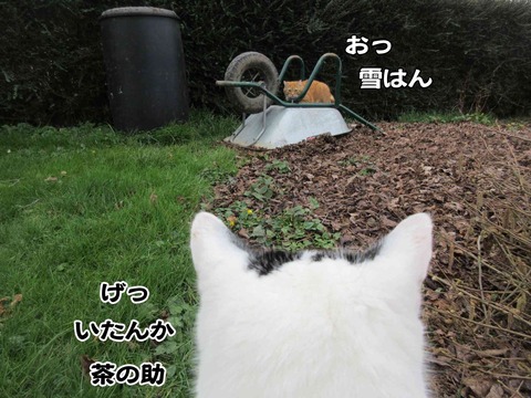 発射台 9