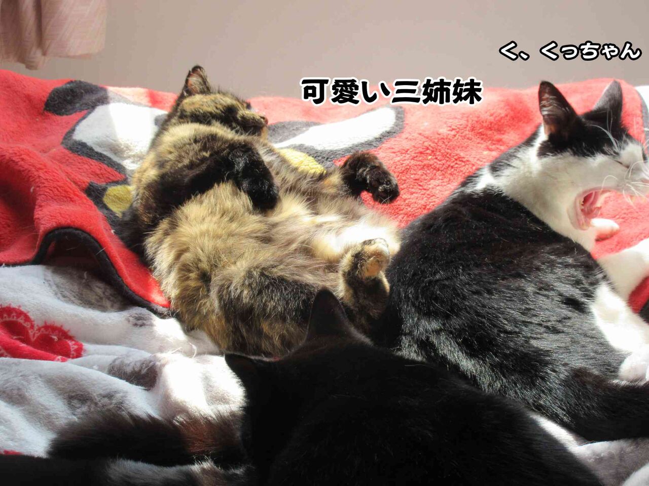 警察への襲撃事件 軽すぎる刑罰 ソワレが要らないフランス暮らし 警察への襲撃事件 軽すぎる刑罰 ソワレが要らないフランス暮らし