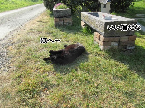 のんびり 4