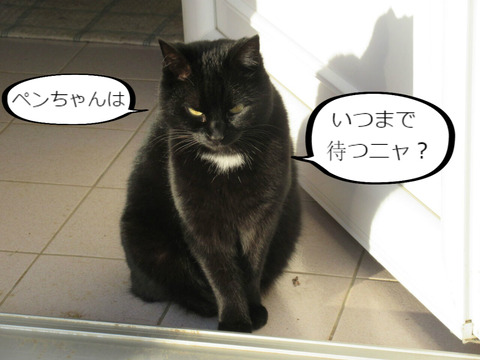 BlogPaint