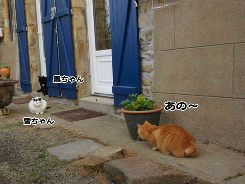入っちゃダメ 2