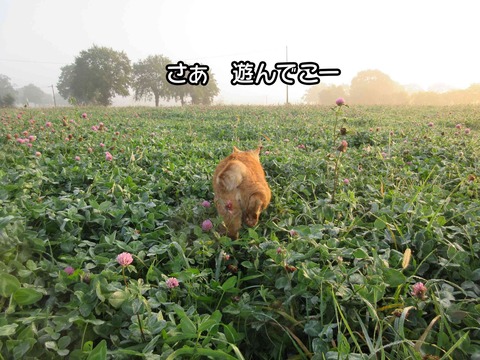 そこ 13