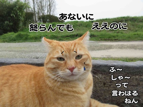 発射台 12