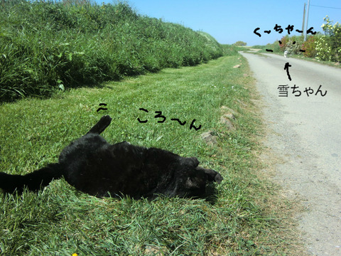 BlogPaint