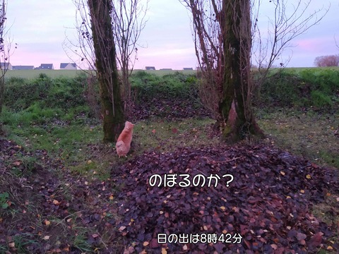 朝日 2