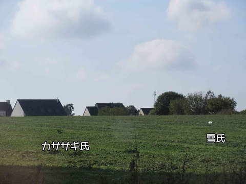 泥棒 4