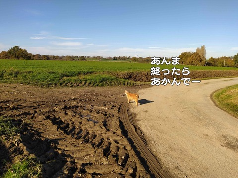 モデル 6