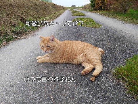 寝転がる 4