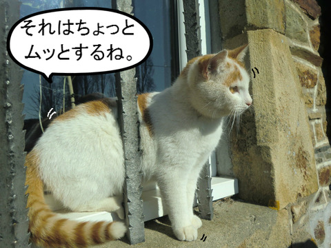 BlogPaint