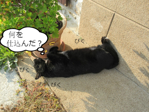 BlogPaint