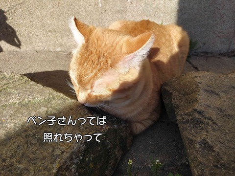 雨　7