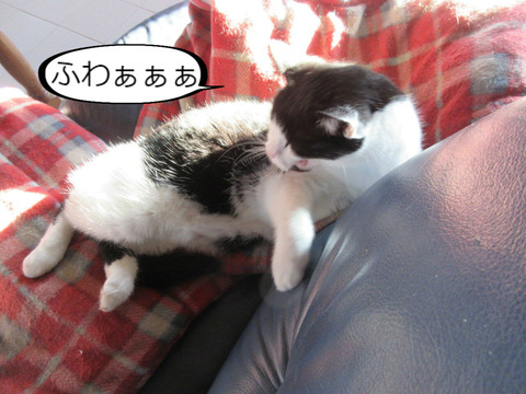 BlogPaint