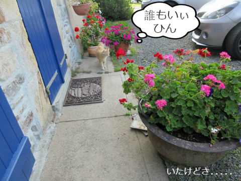 BlogPaint