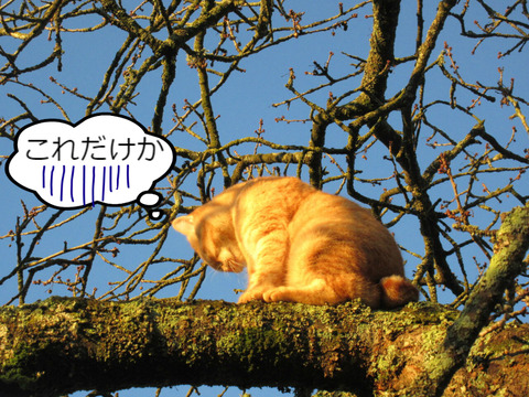 BlogPaint