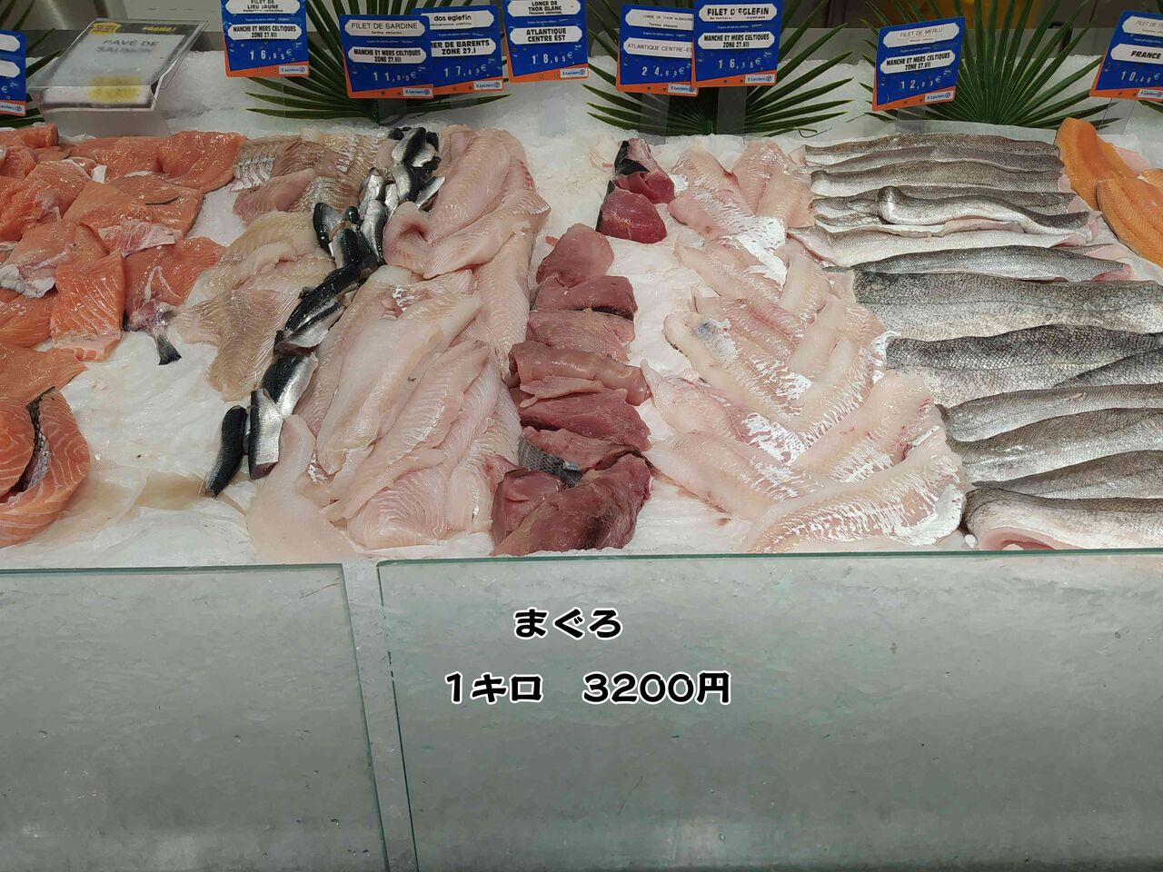 お魚屋さんの写真で簡単更新 ソワレが要らないフランス暮らし