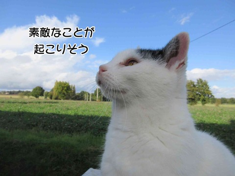 良き日 3
