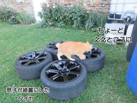 フォンダンショコラ 5