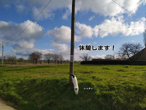 5周年 11