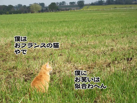 5周年 13