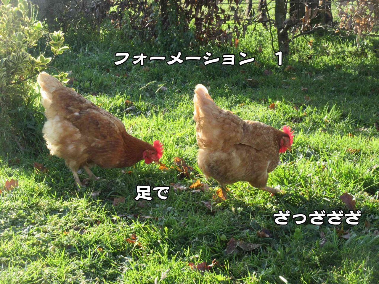 田舎の知覚的文化遺産を守る法律 ソワレが要らないフランス暮らし