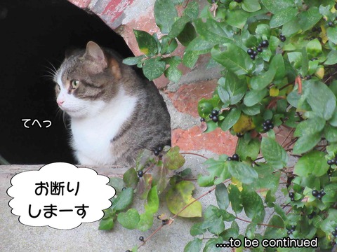 チンピラ 13
