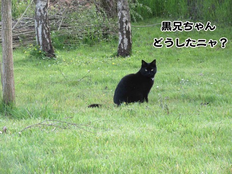 誰やねん 2