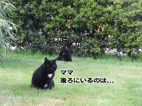 誰やねん 3