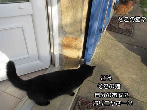 雨　5